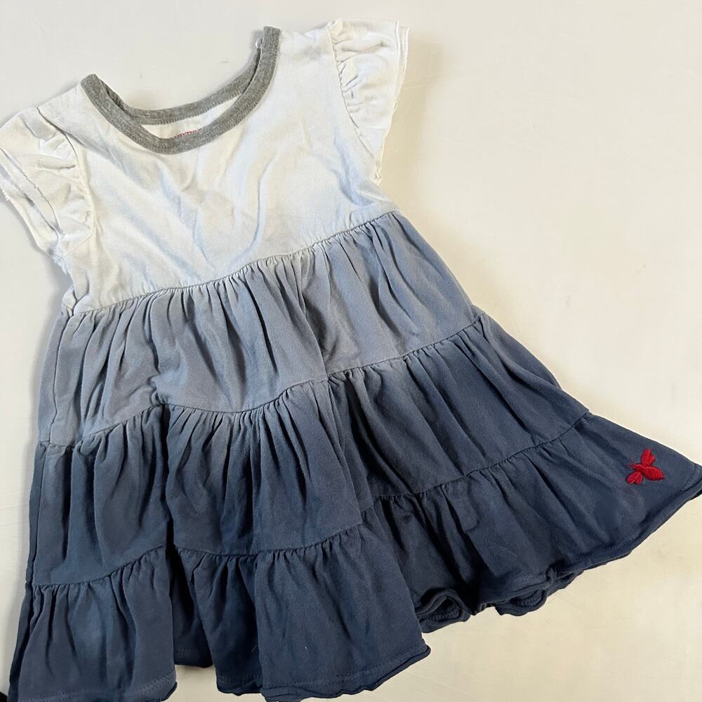 Burt's Bees Baby Ombre' Ruffle Dress 12M